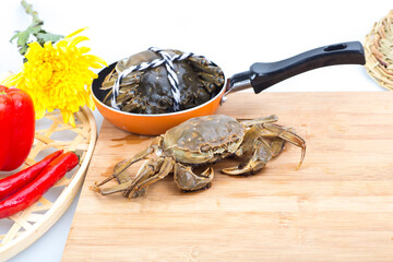 Crabs on a white background