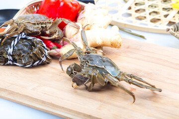 Crabs on a white background