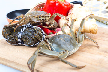 Crabs on a white background