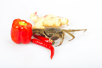 Crabs on a white background