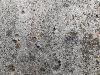 Concrete. Concrete background. Concrete slab.
