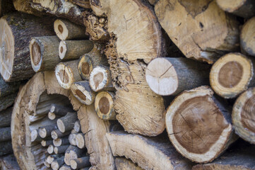 Abstract textered pile of tree's logs for kindling a furnace. Natural wooden structured decor...