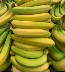 Bunch of unripe bananas on display at local supermarket.