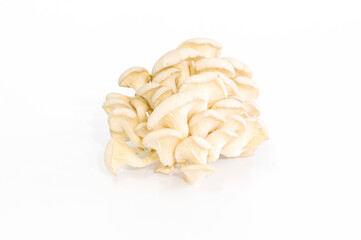 White fresh mushroom macro isolated