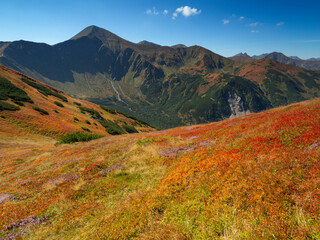 Starorobociański Wierch - widok z Ornaku - Jesień Tatry