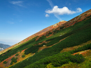 Ornak - Tatry Zachodnie