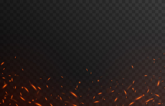Vector fiery sparks on an isolated transparent background. Sparks png, fire png, fiery particles.