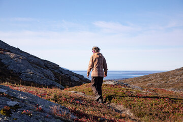 Fototapeta premium Woman hiking in the mountains,Helgeland,Northern Norway,scandinavia,Europe