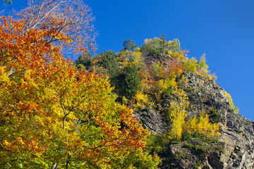 Grünten - Steinbruch - Herbst - Burgberg - Allgäu - bunt