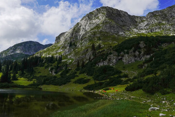 Fototapeta na wymiar mountain lake with cows at a rocky mountain while hiking