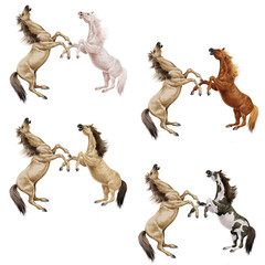 silhouette, cheval, combat, étalon ,  vecteur, animal, illustration, animal, sauvage, icône, ferme, course, animal de compagnie, nature, collection, conception, symbole, faune, art, mammifère