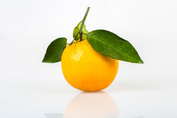 orange