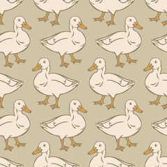 Vector seamless pattern with domestic duck. Design with hand drawn duck.