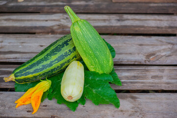 two green and one white zucchini lies on a green leaf