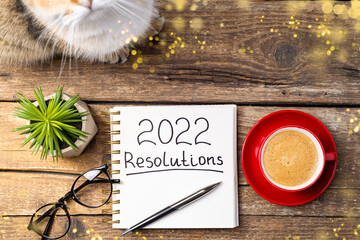 New year resolutions 2022 on desk. 2022 resolutions with notebook, cute cat, coffee cup, eyeglasses, succulent on wooden background. Goals, plan, list, idea, cozy home concept