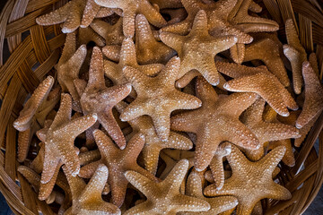 Basket of starfishes