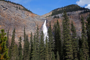 The spectacular Takakkaw Falls in the Canadian Rockies