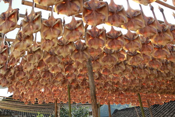 Duck meat in the sun