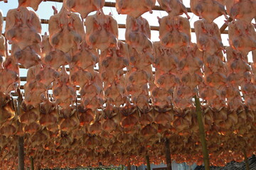 Duck meat in the sun