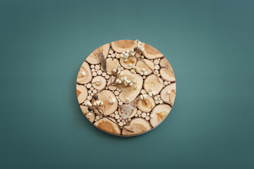 Top view image of autumn forest natural composition over green background .Flat lay