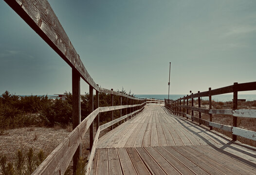 the wooden road