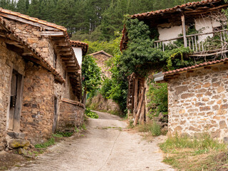 Fototapeta na wymiar Beautiful entrance with aged stone and wood houses of a rural mountain village