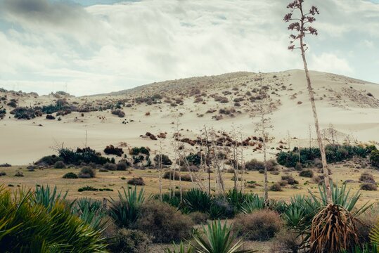 giant sand dune of Monsul in Cabo de Gata Natural Park