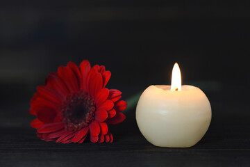Obraz na płótnie Canvas White candle and red gerbera flower on dark wooden background. Condolence card