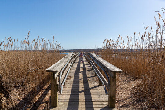 Little Girl on Wooden Dock by River