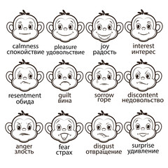 12 vector emotion icons