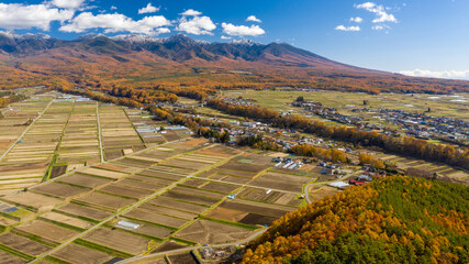Coniferous forests and paddy fields at the foot of snow-capped mountains C