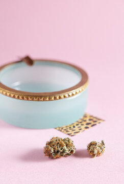 close up of cannabis strain Frosted Grapes on pink background