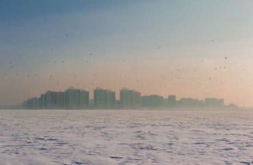 Winter city landscape with flying flock of birds.