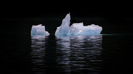 Beautiful ice sculptures float in Glacier Bay