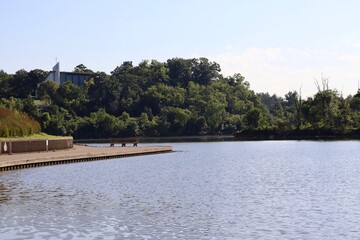 The peaceful scene of the lake on a sunny day.