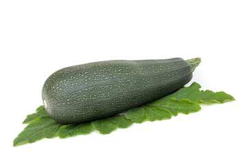 Zucchini isolated on a leaf. Vegetable on white background.