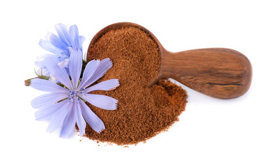 Chicory powder and flower in wooden spoon, isolated on white background. Cichorium intybus.