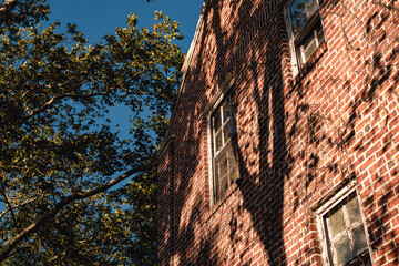 Looking up angle of townhouses at dusk with tree shadows on brick. 