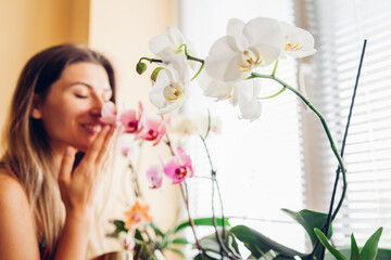 Woman smelling orchids on window sill. Girl gardener taking care of home plants and flowers.