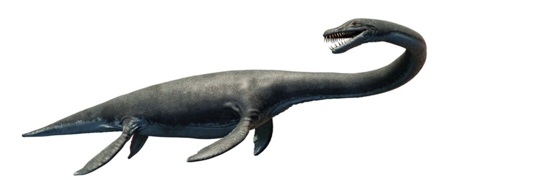 Elasmosaurus, plesiosaur from the Late Cretaceous period, isolated on white background, 3d science render banner