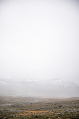 misty mountain landscape