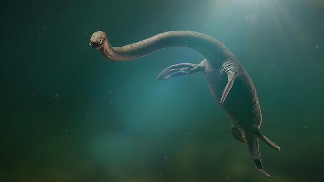 Elasmosaurus, long-necked plesiosaur from the Late Cretaceous period