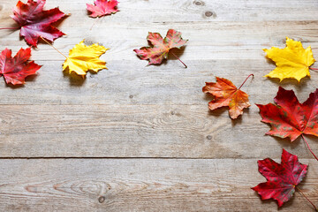 Naklejka na ściany i meble Beautiful autumn leaves on wooden background.