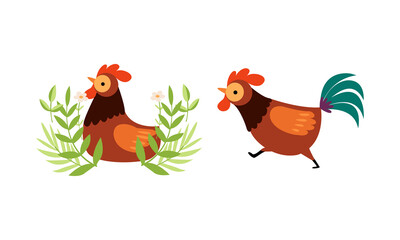 Rooster or Cock Character Sitting in Grass and Running Vector Set