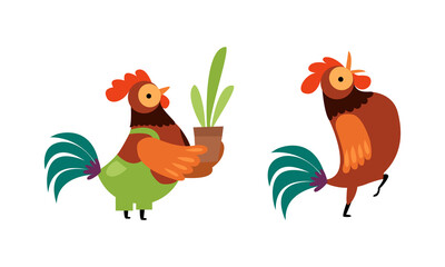 Rooster or Cock Character Crowing and Holding Plant in Flowerpot Vector Set