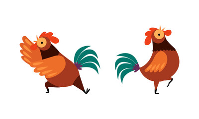 Rooster or Cock Character Crowing and Walking Flapping Wings Vector Set