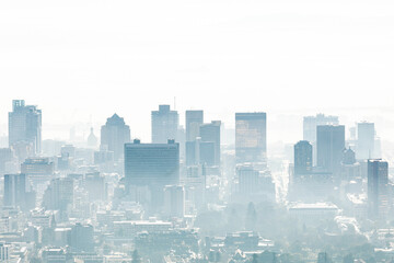 General view of cityscape with multiple modern buildings and skyscrapers in the foggy morning - Powered by Adobe