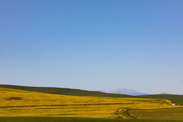 Fototapeta premium General view of countryside landscape with cloudless sky
