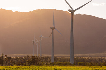 General view of wind turbines in countryside landscape with cloudless sky