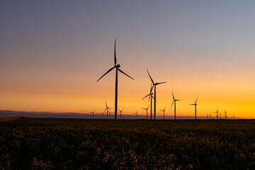 Obraz premium General view of wind turbines in countryside landscape during sunset